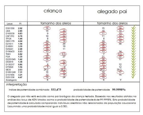 Como Ler Os Resultados De Um Teste De Adn E De Um Teste De Paternidade