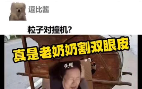 这玩意叫啥？ 经典梗系咯 经典梗系咯 哔哩哔哩视频