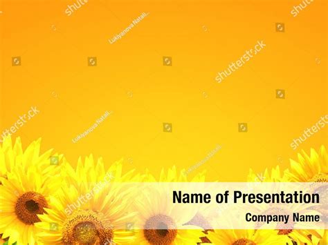 Season Border With Sunflowers Powerpoint Template Season Border With