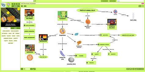 Cell Structure Concept Map | Sexiz Pix