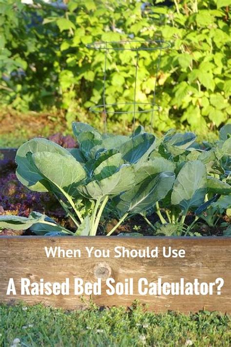 When Should You Use A Raised Bed Soil Calculator Vegetable Garden