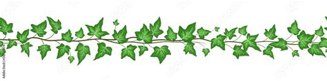 Seamless border with green ivy leaves isolated on white background ...