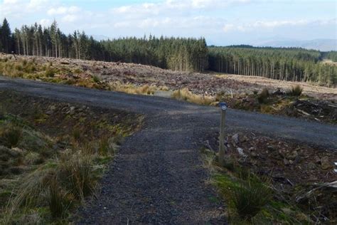 Path Crossing Forestry Track © Lairich Rig Geograph Britain And Ireland