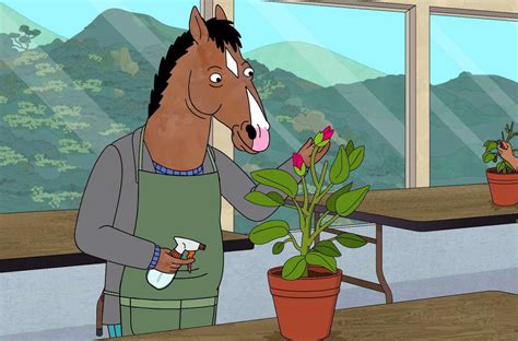 BoJack Horseman Season 6: Release Date, Cast, News, and Everything We ...