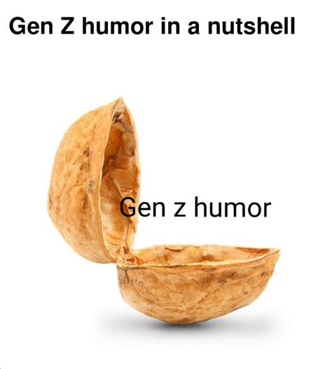 Gen Z humor in a nutshell : r/antimeme