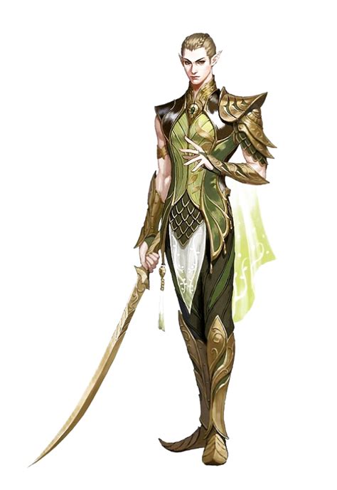 Male Elf Magical Traits Noble Appearance Elven Warrior Enchanted