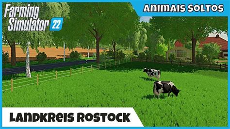 Landkreis Rostock X Campos Grandes Animais No Pasto E Em