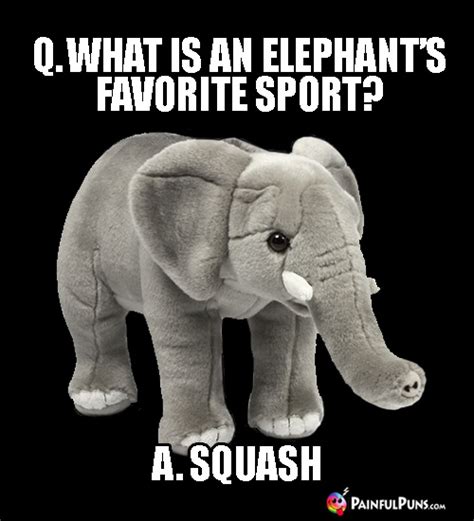 Elephant Jokes, Pachyderm Puns | PainfulPuns.com