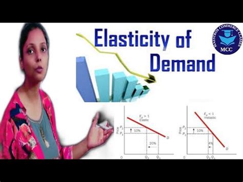 1 Chapter 4 Price Elasticity Of Demand Microeconomics Class 11