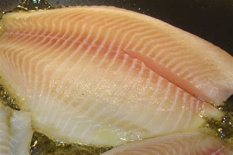 Orange Roughy Fillets | Direct Seafood O'Connor, Perth WA Direct Seafood O'Connor, Perth WA