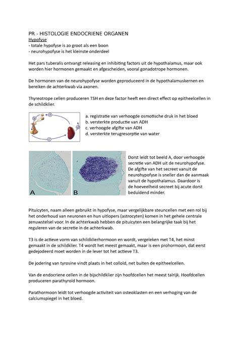 Aantekeningen Bij Het E Learning Practicum Histologie PR HISTOLOGIE