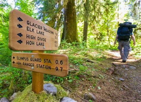 13 Best Hikes In Olympic National Park For All Levels Map