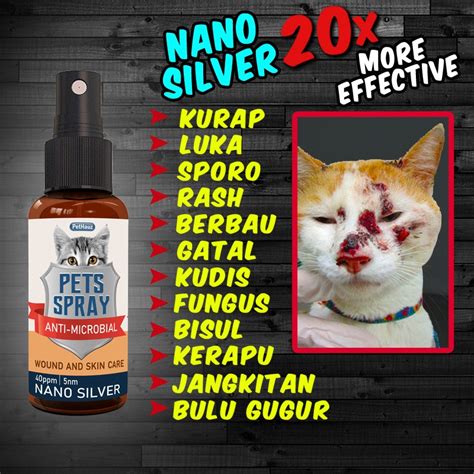 Seperti Apa Kurap Pada Kucing Dan Bagaimana Cara Merawatnya Jenis