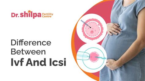 Difference Between Ivf And Icsi Dr Shilpa Gb