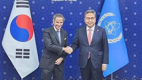 박진 Iaea 사무총장 면담북한 비핵화 위해 협력 지속 네이트 뉴스