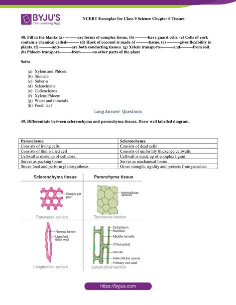 Ncert Exemplar Class 9 Science Solutions Chapter 6 Tissues