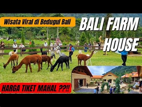 Bali Farm House Bedugul Bali Tempat Wisata Viral Terbaru Di Bali