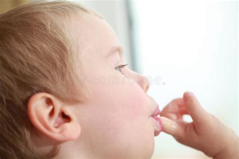 Funny Babe Blondes Licks Finger With Yogurt Stock Photo Image Of Hand Face 101651042