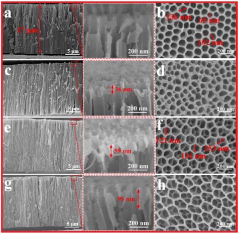 The Surface And Crosssection SEM Images Of A H TiO2 NTAs HS Samples