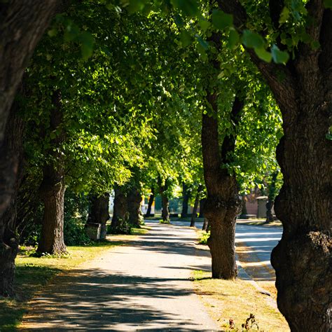 Education - Study in Finland - Centria UAS