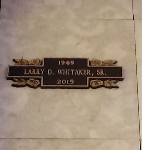 Larry Whitaker: Statistical Analysis and Performance Metrics 1