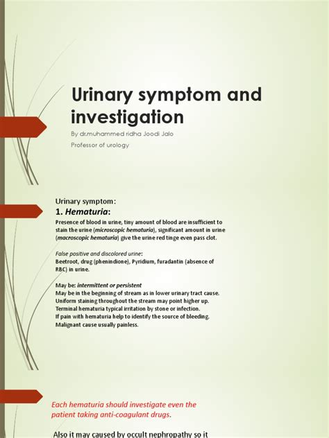 A Comprehensive Guide To Evaluating Urinary Symptoms And Investigating