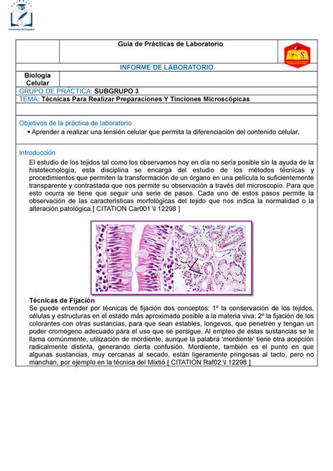 Informe De Biologia Pr 2 Guía De Prácticas De Laboratorio Informe De