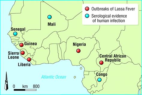 Lassa Fever Epidemiology Clinical Features And Social Consequences