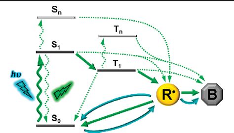 Figure From Structural Basis Of X Ray Induced Transient