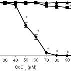 Effects Of CdCl2 On Cell Viability MCF7 MDA MB 231 And HCC1806 Cells