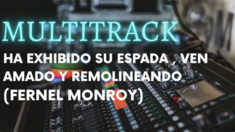 Ha Exhibido Su Espada Ven Amado Y Remolineando Multitrack Fernel