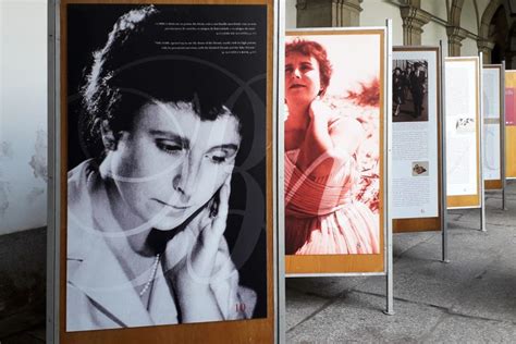 Vida E Obra De Agustina Bessa Lu S Patente Na Biblioteca P Blica