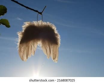 White Angel Wings Sunset Background Stock Photo 2168087025 | Shutterstock