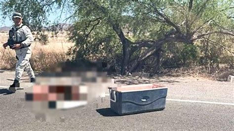 Abandonan Una Hielera Con Restos Humanos En La Carretera Diario Del Yaqui