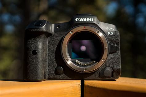 Canon EOS R5 Review Best Hybrid Camera Of 2024