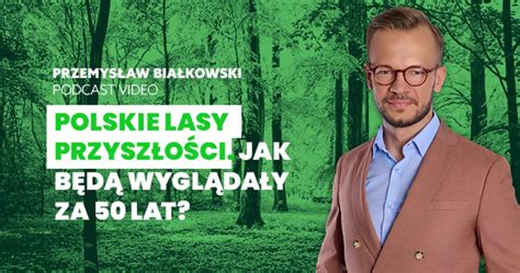 Lasy w Polsce się zmieniają bo zmienia się klimat Jak będą wyglądały