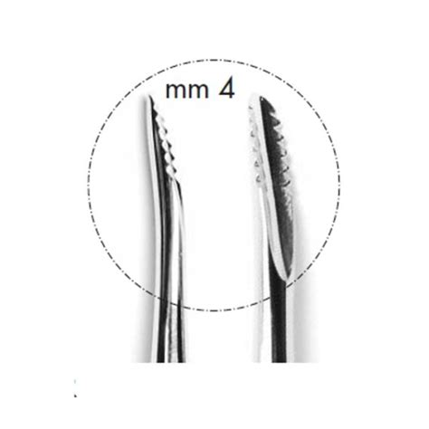 R Leva Per Radici Con Punta Micro Dentellata Glanz Dental