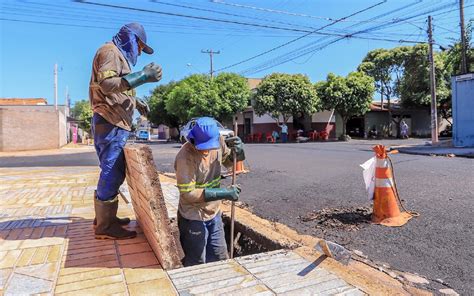 Infraestrutura De Ribeir O Retirou Mais De Tr S Mil Toneladas De