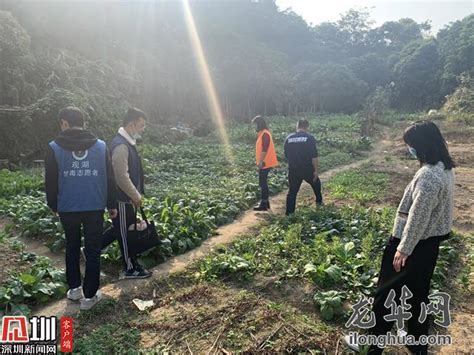 观湖街道开展毒品原植物禁种铲毒踏查行动龙华网百万龙华人的网上家园