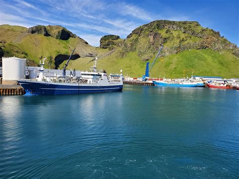 20220611 28 Iceland Vestmannaeyjar Heimaey Island Vestmann Flickr