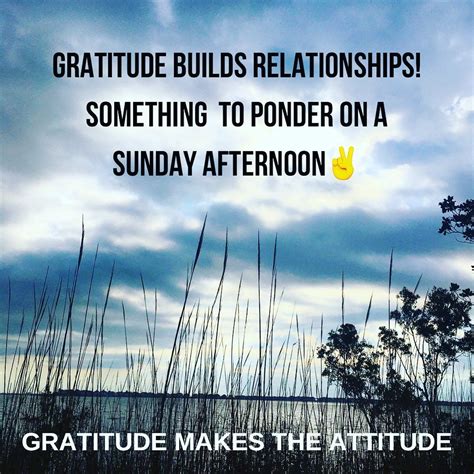 Gratitude Makes The Attitude On Instagram Gratitude Is The Opposite