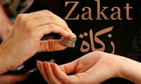 Zakat Donation Charities Donate To Needy Trk