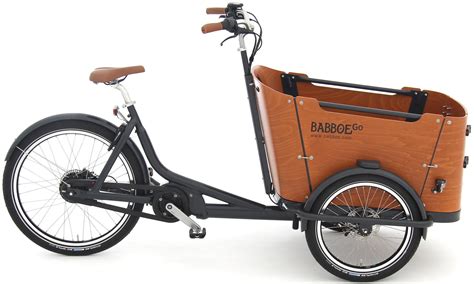 Babboe Go Mountain 2022 E Motion E Bike Experten