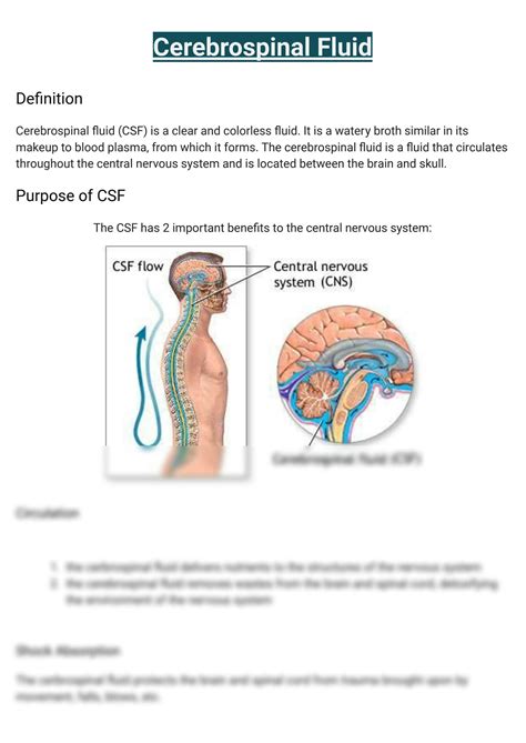 Solution Cerebrospinal Fluid Studypool