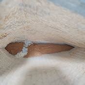 Amazon Nestle Abuelita Hot Cocoa Authentic Mexican Hot Chocolate Instant Bulk For