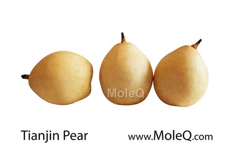 Tianjin Pear