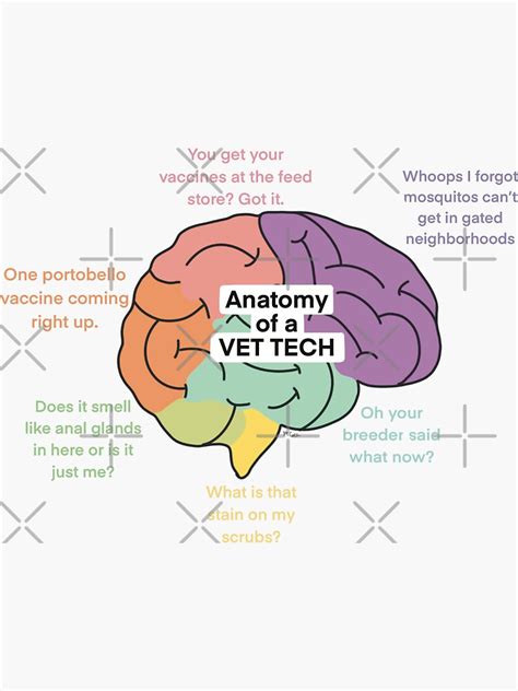 "Anatomy of A Vet Tech Brain Vet Tech Meme" Sticker for Sale by ...