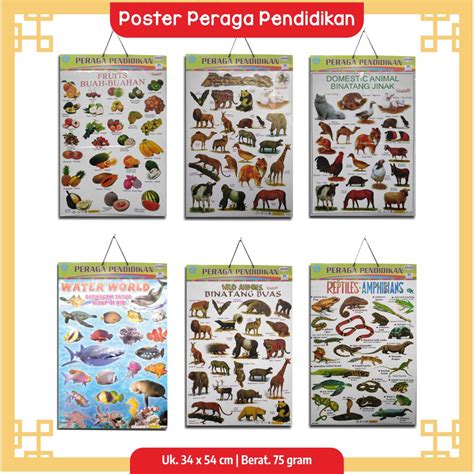 Jual Poster Edukasi Anak Mainan Edukasi Anak Hewan Buah Hewan Lokal