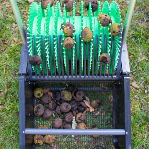 18 Push Black Walnut Harvester Bag A Nut