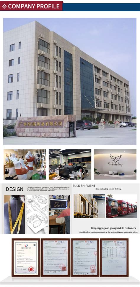 Sexy Ultra Thin Embroidery Lace Transparent Bra Panty Sets Hipster Panti Bikini New Panties And